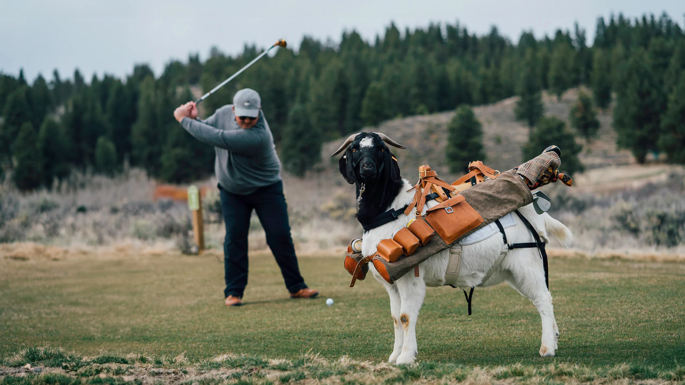 Honest Seamus Golf Clothing Review 2026 | Three Putt Golf